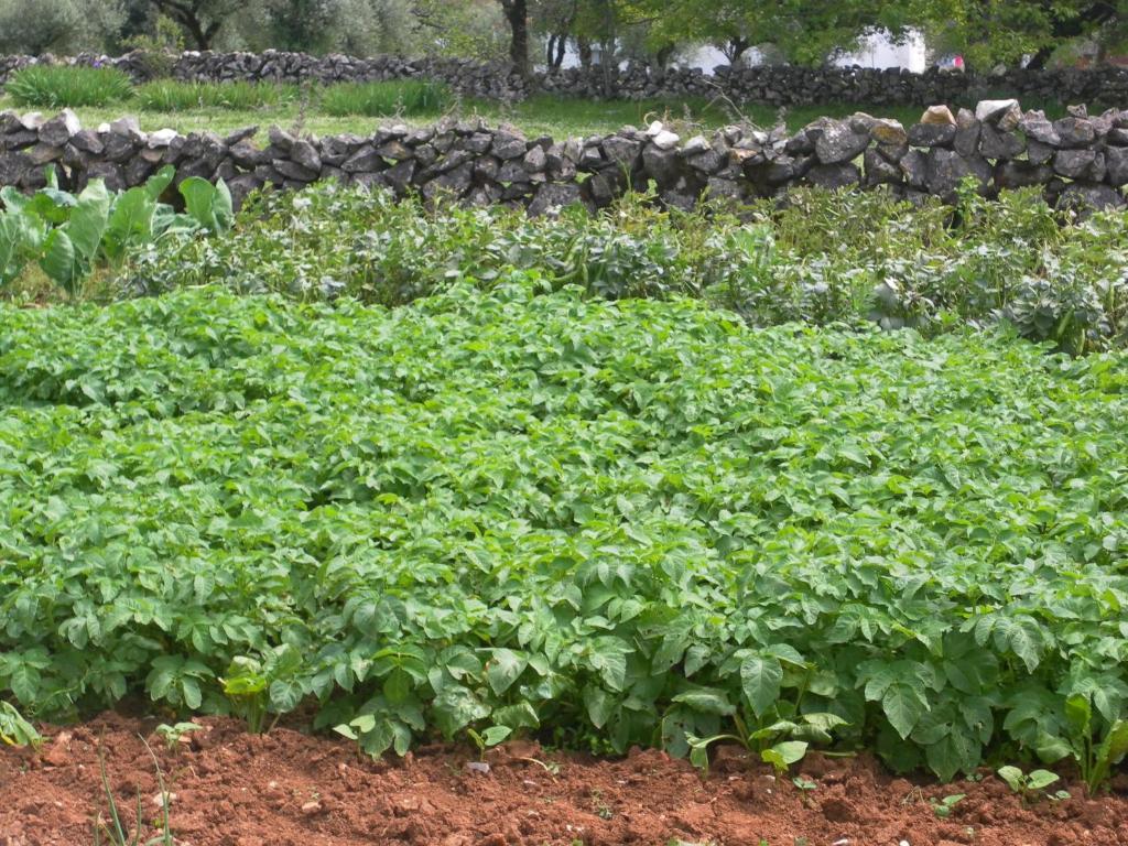 Retiro Da Avo Lidia - Turismo Rural Mendiga Exterior photo